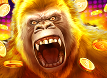 最新PG鼠鼠福福在线（最新PG鼠鼠福福在线）-第1张图片